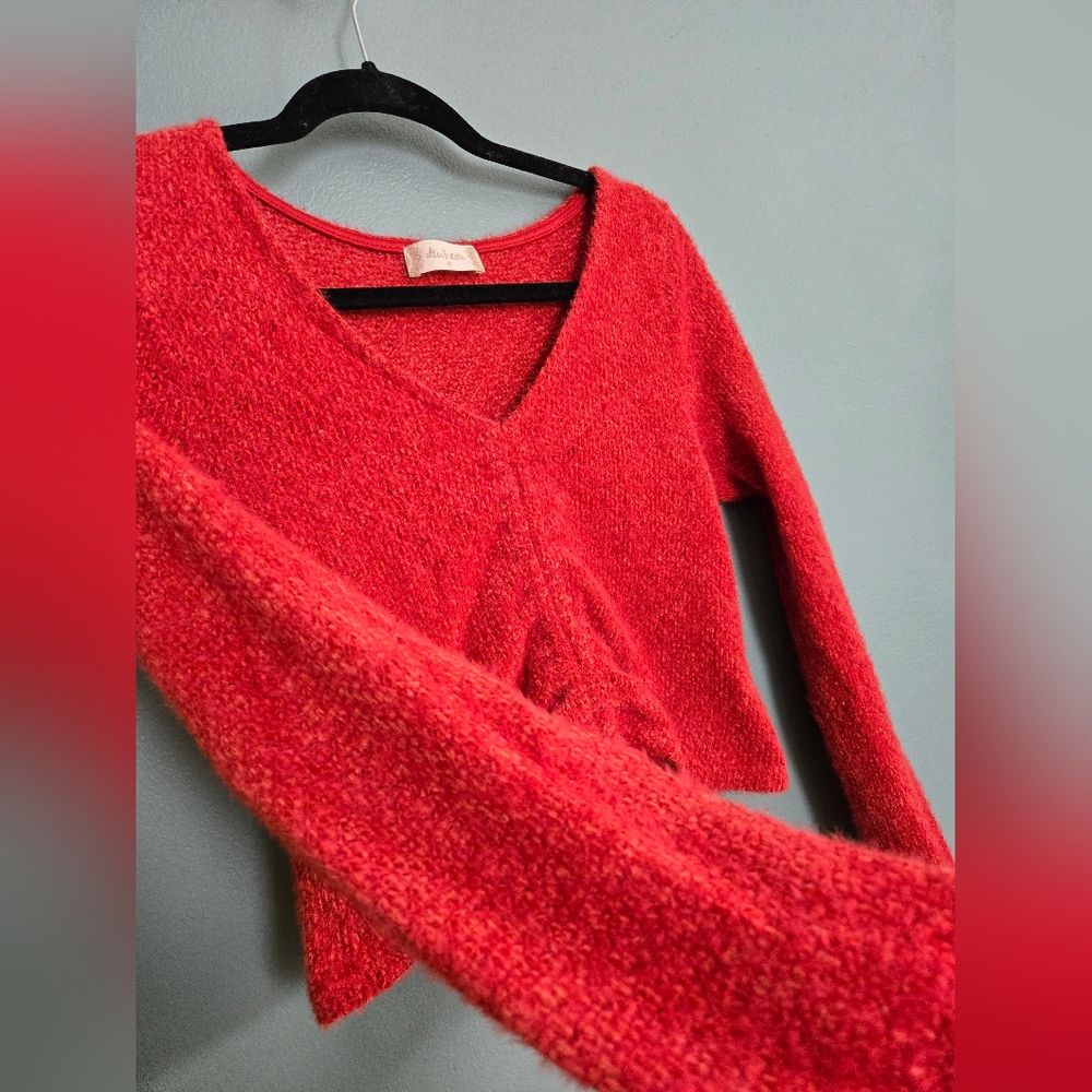 Altr'd State fuzzy cropped long sleeve